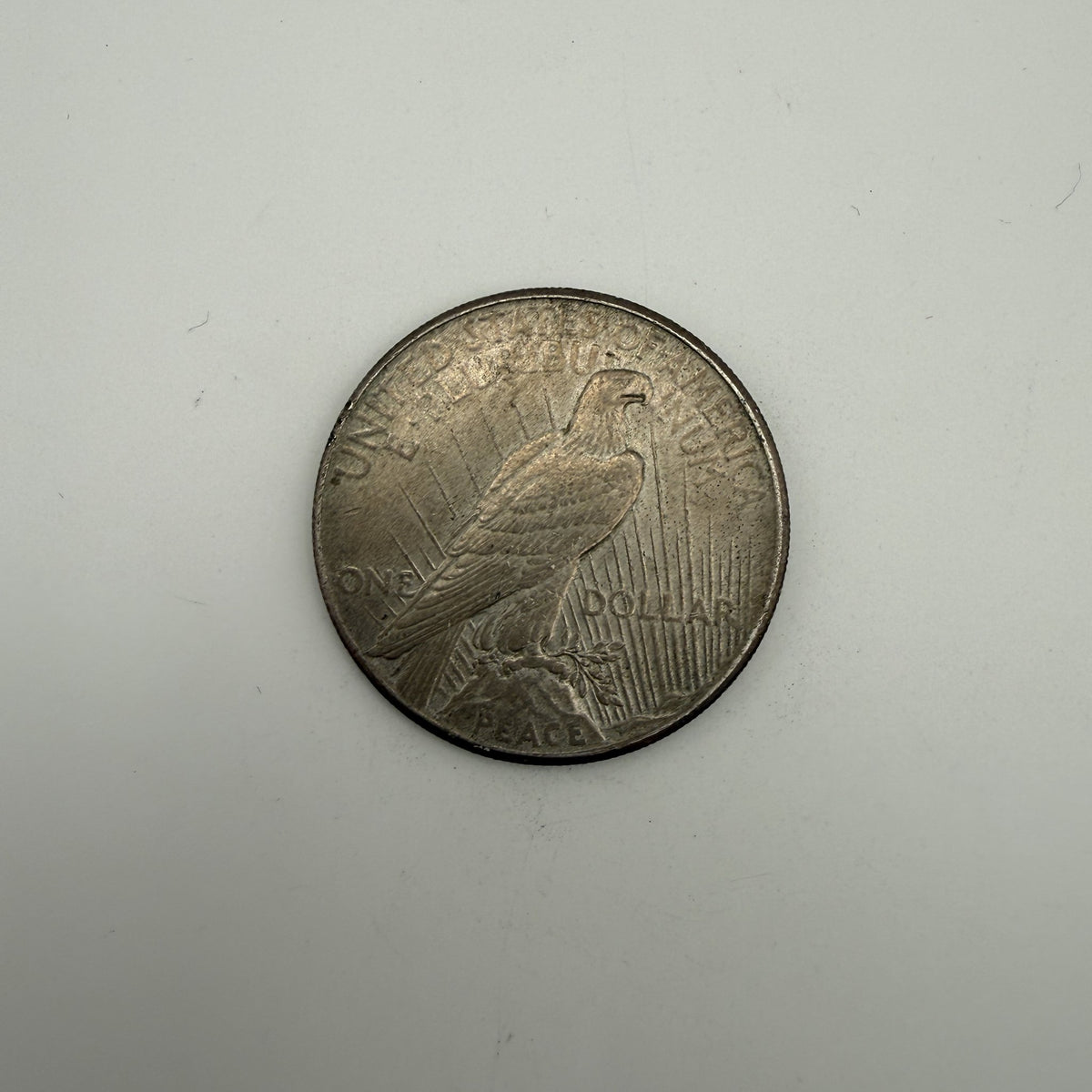 1925 U.S. Peace Silver Dollar - back