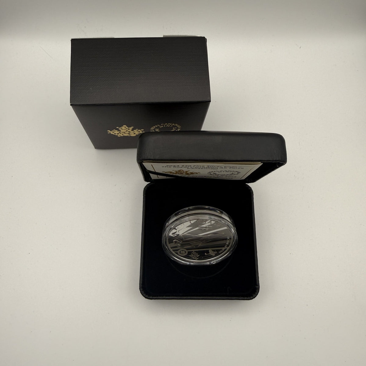2024 Canada $20 The Royal Canadian Air Force Centennial 1 oz Fine Silver Proof Coin - front
