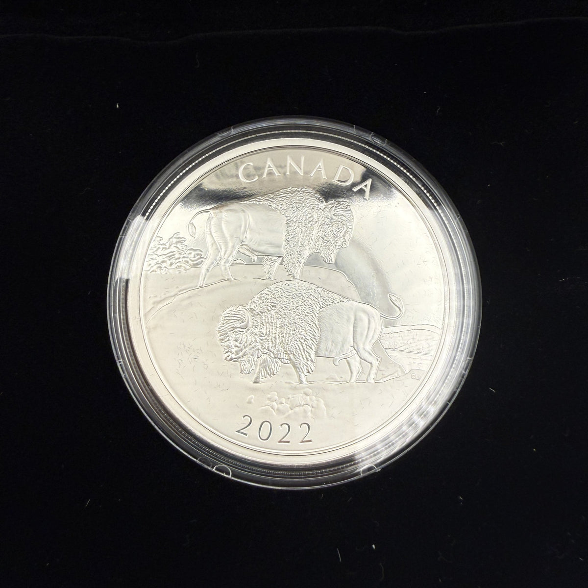 2022 The Mighty Bison $30 2 oz Silver Coin - front