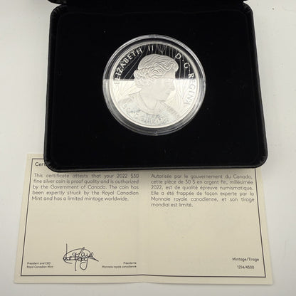 2022 The Mighty Bison $30 2 oz Silver Coin - certificate