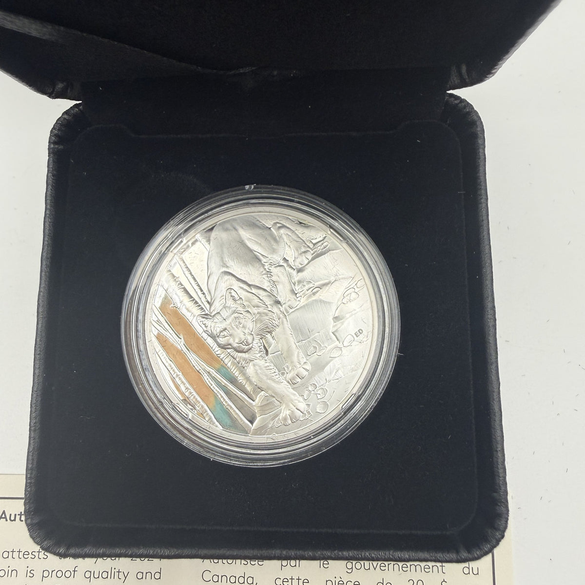 2024 Canada $20 Great Hunters: Cougar Ultra-High Relief 1 oz Fine Silver Proof Coin - front